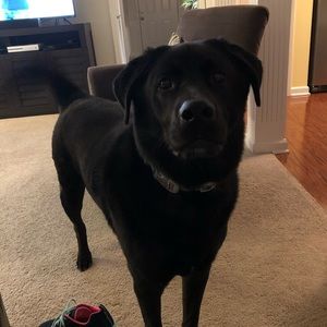 Meet your Posher, Vicki